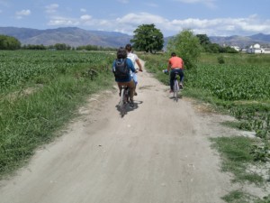 Three bicycle riders on gravel path with trees and mountains